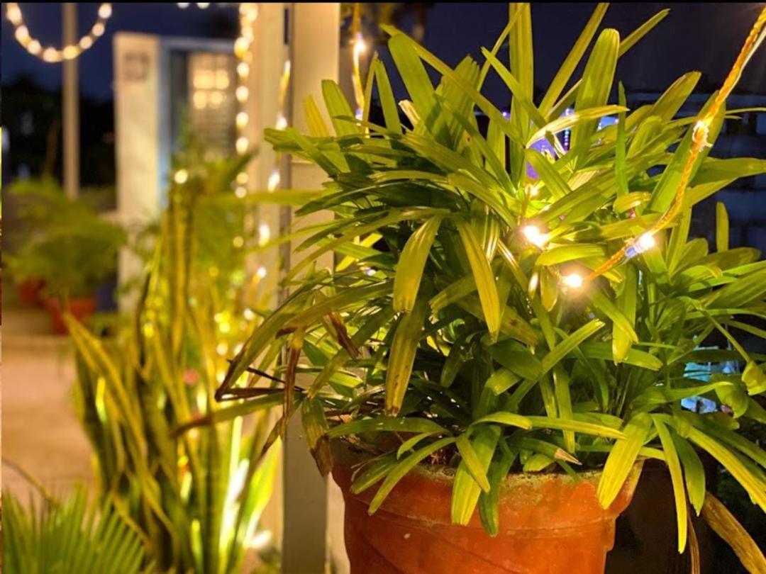 La Paradise Residency - Tie Hotels & Resorts 蓬蒂切里 外观 照片